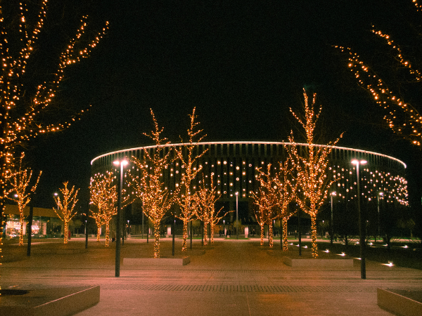 Fairy Lights