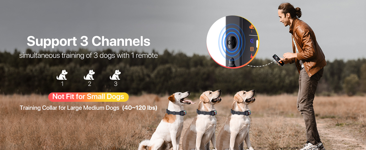 dog shock collar