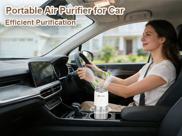 Portable Air Purifier for Car