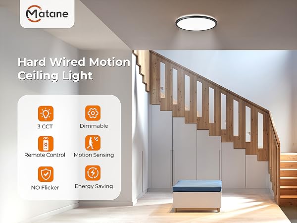 Motion light