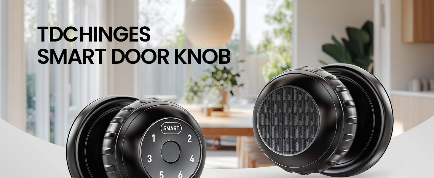 keyless entry door lock