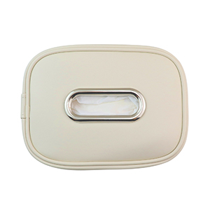 Car Tissue Holder
