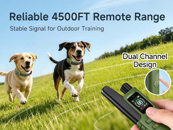 dog training collar
