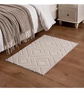 Lamohome Entryway Area Rug 2X3,Washable Area Rugs with Non-Slip TPE Backing Design,Fluffy Soft Fe...