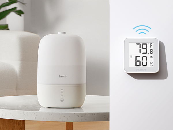 Pair with Humidifier