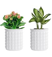 Qhzxcvlk 2 Pack Self Watering Planters Indoor Flower Pots, 4.5 Inch Clear African Violet Pots for...