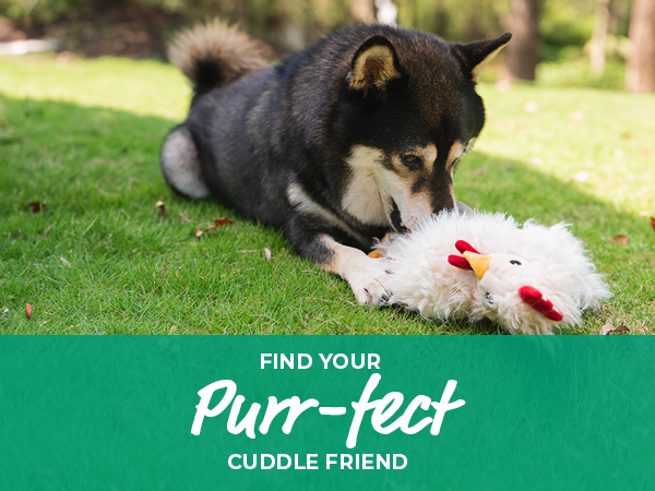 soft toys for pets