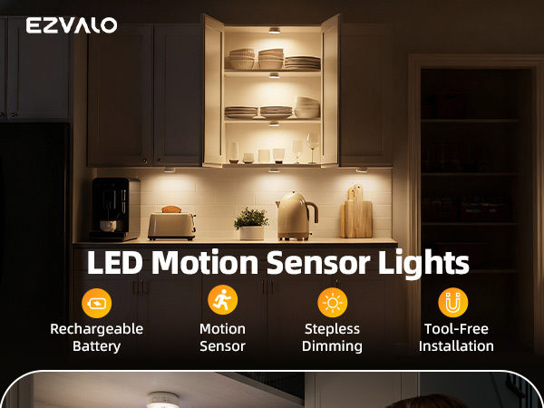 motion sensor light