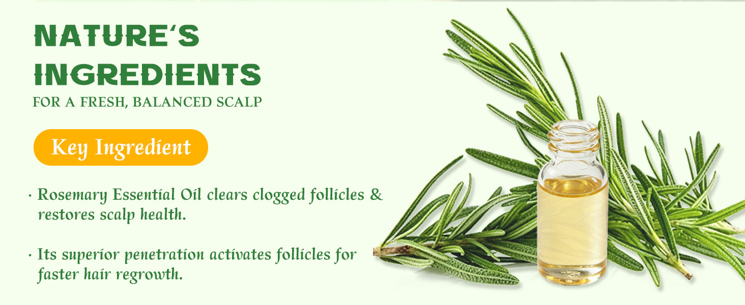 rosemary shampoo bar hair growth Oily Sensitive Itchy Thinning Dandruff Prone Scalp travel size