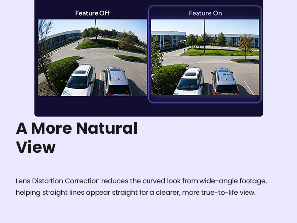 Lens Distortion Correction