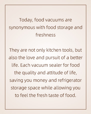 handheld vacuum sealer