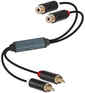 YANBORONSN RCA Ground Loop Lsolator, Noise Lsolator, Automotive Amplifier Noise Filter,hum Elimin...