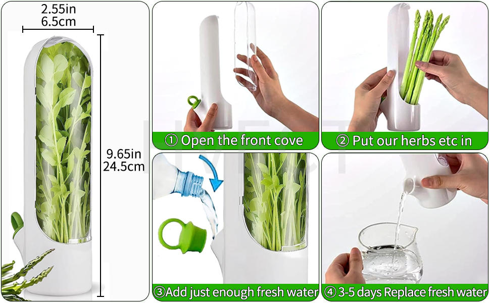 Herb Keeper for Refrigerator