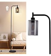 DLLT Floor Lamp Tall for Room: Black Standing Lamp with Grey Glass Lampshade for Living Room - Mo...