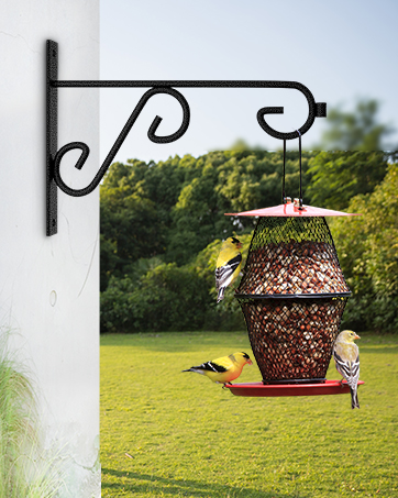 plant hooks