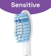healthy accessories mouth vibrating e-series timer repuesto brushheads essential adult sanitizing