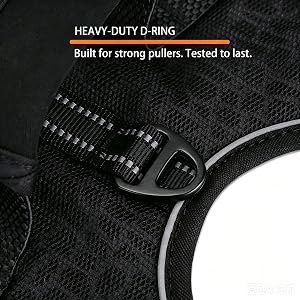 Heavy-Duty Metal D-Ring
