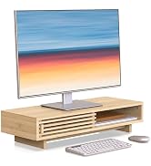 WELL WENG Monitor Stand Riser with Sliding Door, Computer Laptop Stand Desk Shelf Organizer with ...