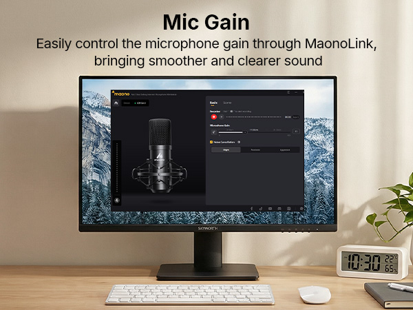 mic