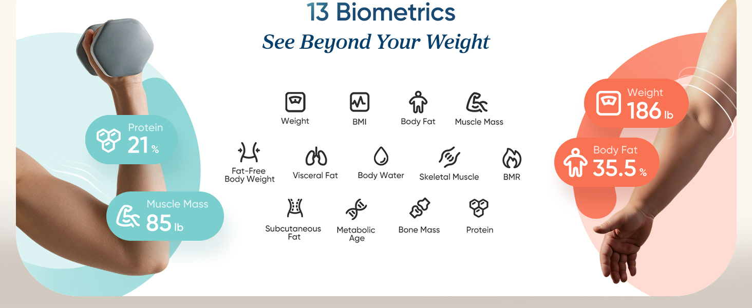 etekcity smart scale