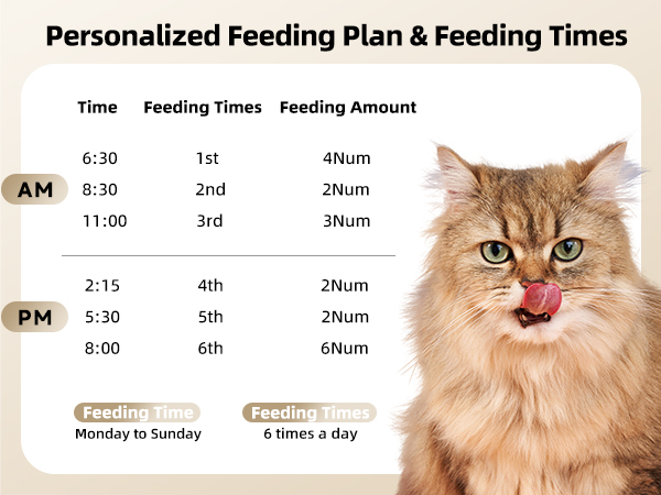 Feeding plan