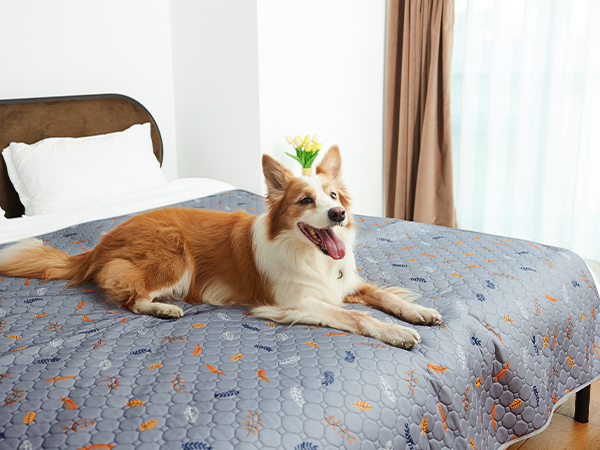 Bed Cover
