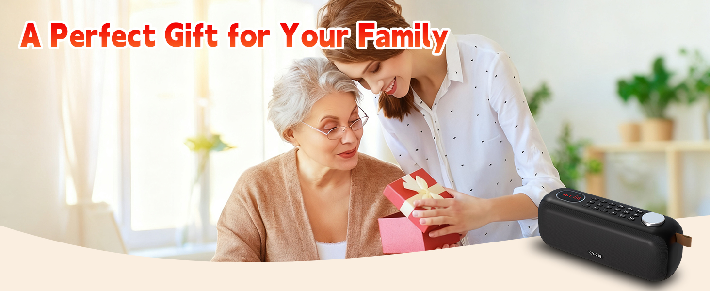 FM radio bluetooth speaker