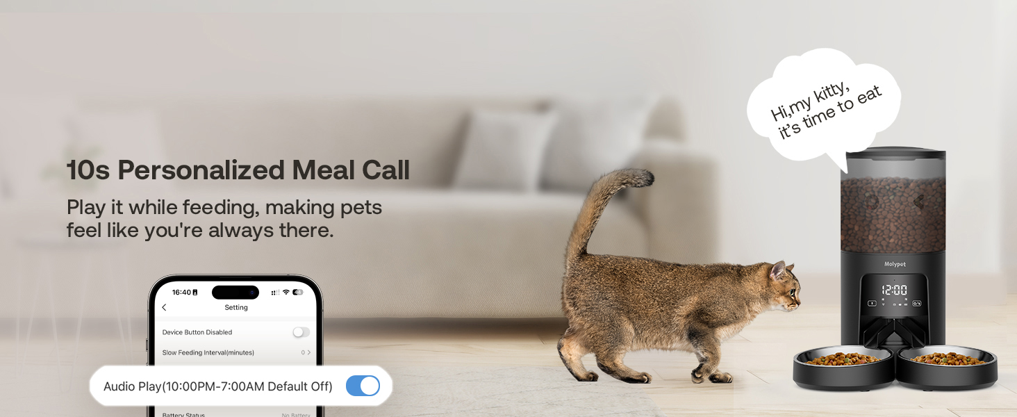 automatic cat feeder