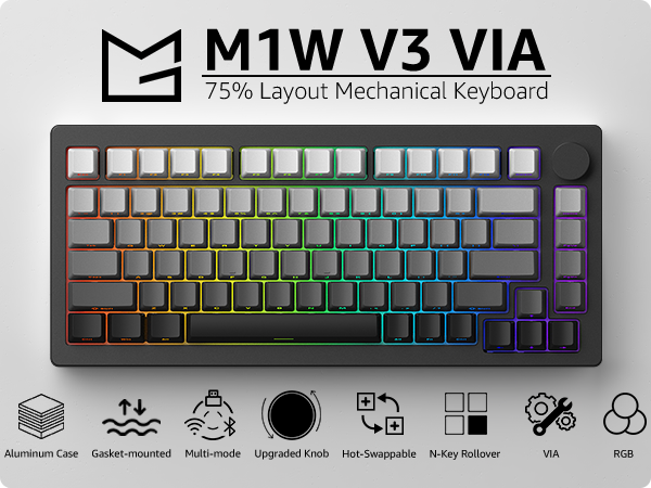 M1W V3 VIA