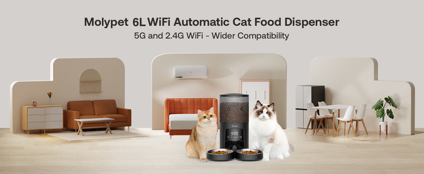 automatic cat food dispenser