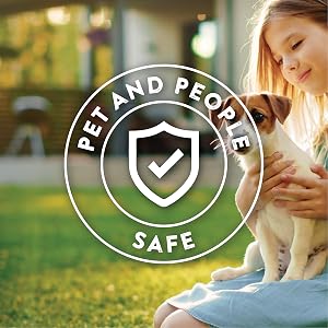 Safe around people and pets