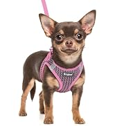 Eagloo Small Dog Harness and Leash Set, Step in Puppy Vest with Breathable Soft Mesh, Walking Ref...
