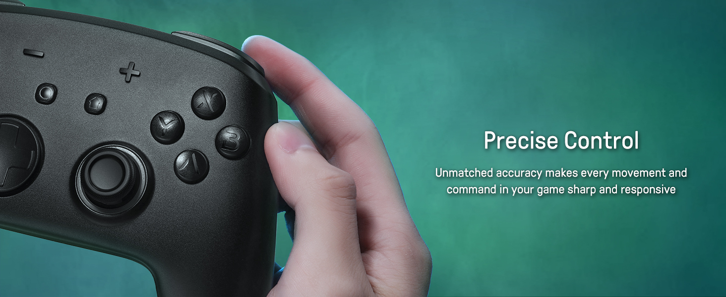 switch pro controller