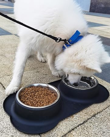 Dog Cat Bowls