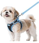 rabbitgoo Dog Harness Small Sized and Leash Set, Step-in Breathable Pet Harness, Soft Walking Ref...