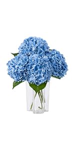https://m.media-amazon.com/images/S/aplus-media-library-service-media/35f2808a-8025-4699-a4fd-820732f77832.__AC_SR150,300___.jpg