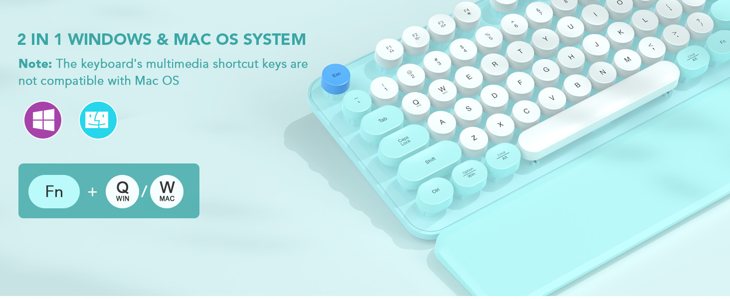 2 IN 1 WINDOWS &amp;amp;amp; MAC OS SYSTEM