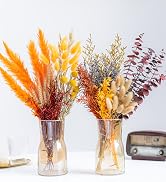 12kinds dried flower