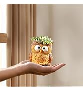 Funducts Cute Resin Succulent Owl Garden Pot, Cute Planting Pot, Indoor Plant Pot for Flowers &amp; H...