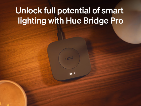 Hue Bridge Pro