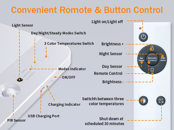 Remote &amp; Button Control
