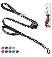 6 Foot Black Dog Leashes for Large Medium and Small Breed Dogs That Pull,Reflective Nylon Heavy D...