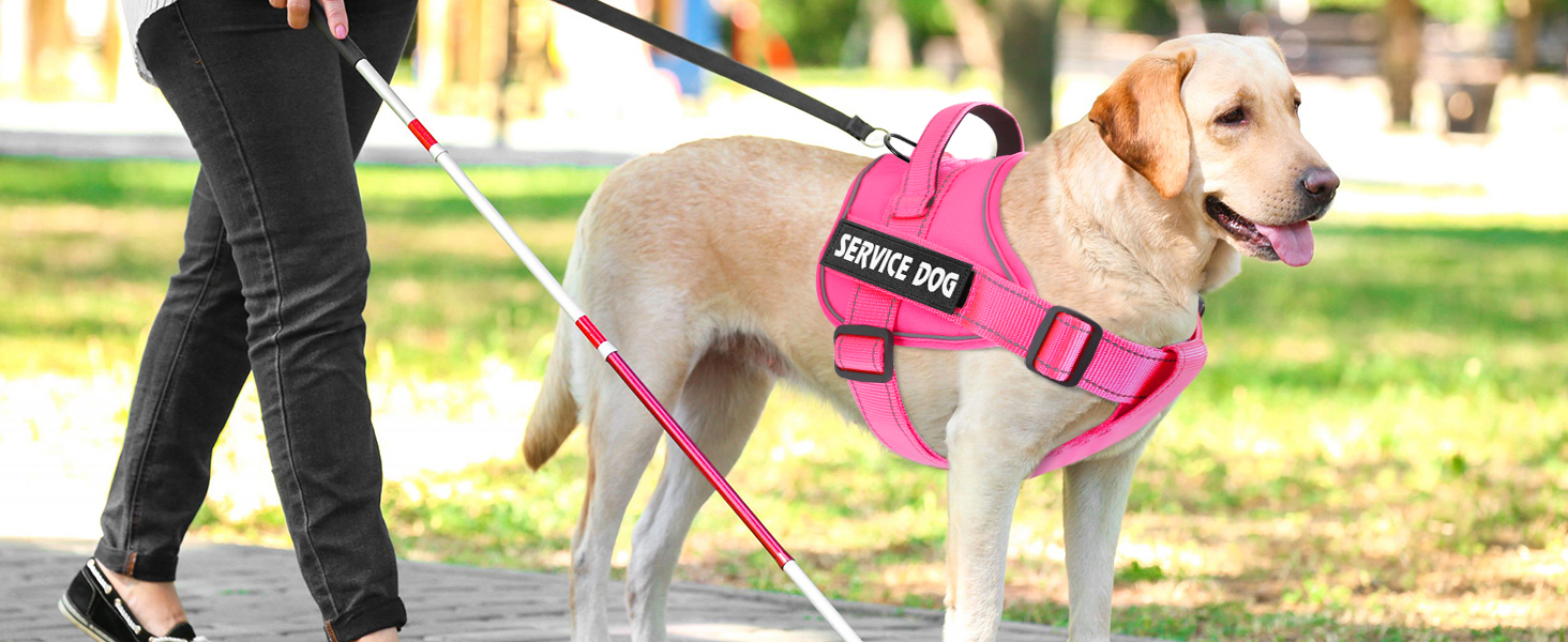 hot pink service dog harness