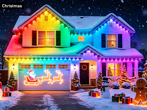 Permanent Outdoor Lights