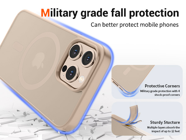 iPhone 16 Pro Max case