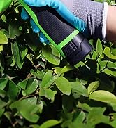 12V cordless grass shear and hedge trimmer