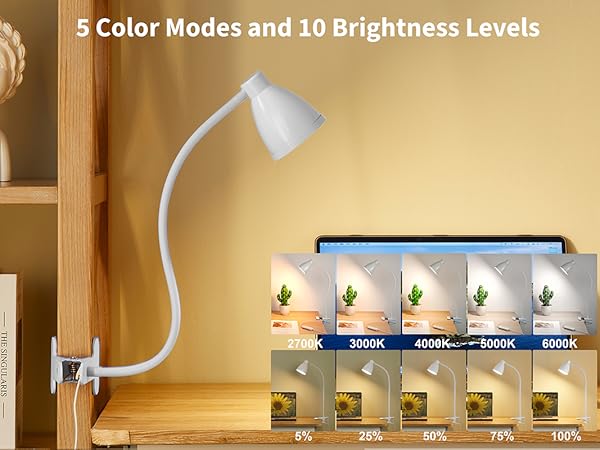 Desk Lamp Reading Light LED Clamp Lamp Flexible Gooseneck Clip on Light for Bed Bedside