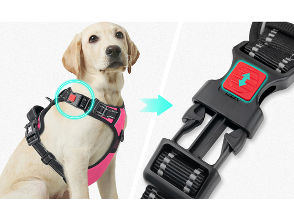 lockable neck buckle