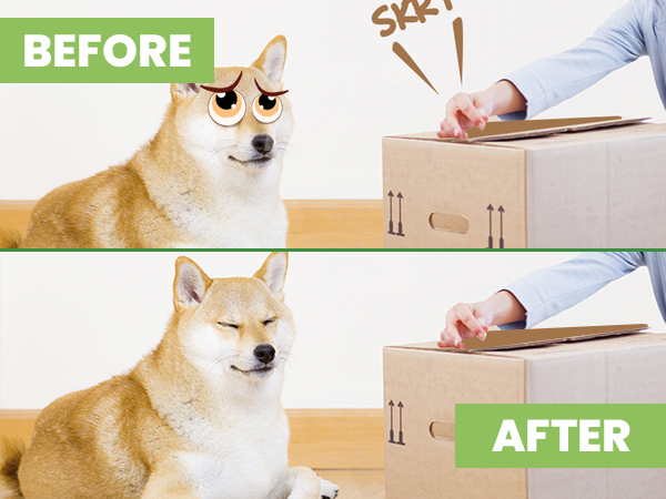 packing tape for moving boxes