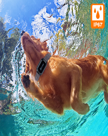 Waterproof E Collar